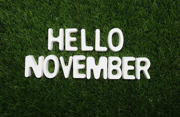 Hello November alphabet letter on green grass background