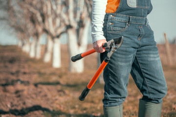 Female farmer posing with telescopic ratchet bypass lopper in walnut orchard ready for pruning