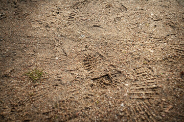 shoe print in the ground in the park