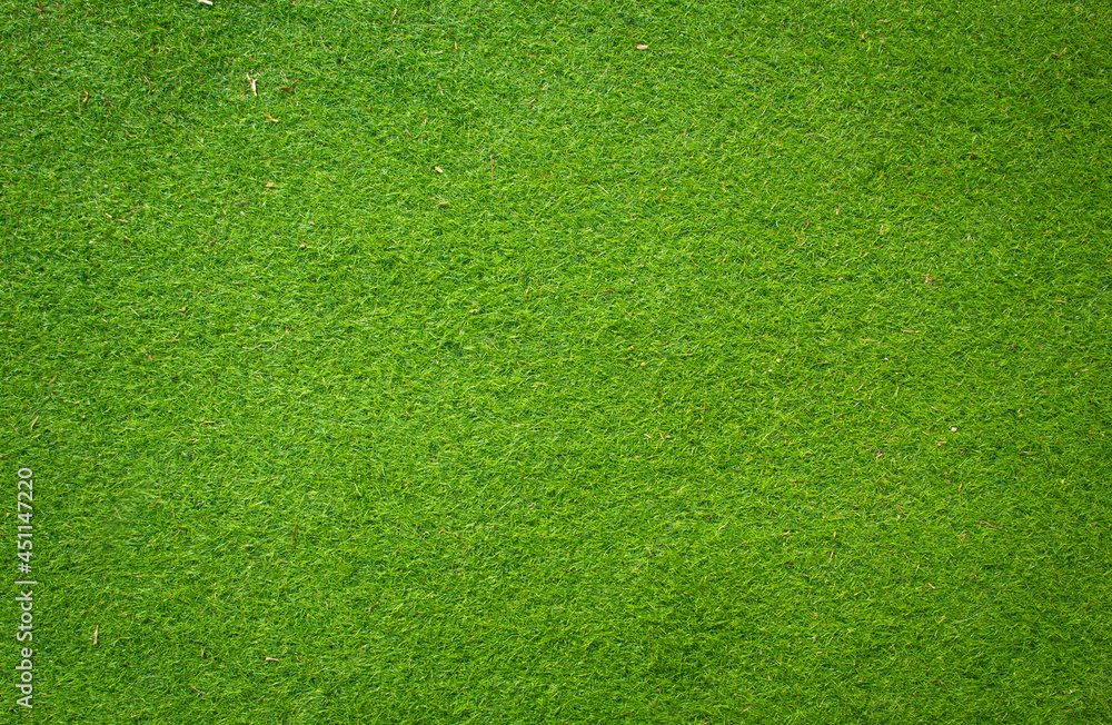 Canvas Prints green grass background and texture