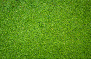 Green Grass Background and Texture