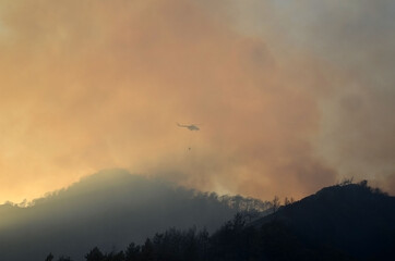 Wildfire in the forest near a resort town.Marmaris, Turkey. Summer 2021