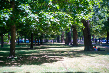 ニュージーランドのクライストチャーチの観光名所を旅行している風景 Scenes from a trip to the sights of Christchurch, New Zealand.