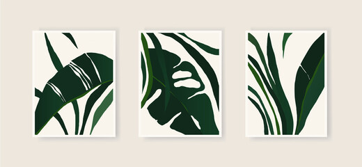 Set of minimalist abstract plant illustrations. Modern style wall decor. Collection of contemporary artistic posters. © MURRIRA