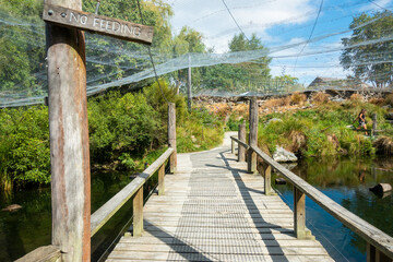 Fototapeta na wymiar ニュージーランドのクライストチャーチの観光名所を旅行している風景 Scenes from a trip to the sights of Christchurch, New Zealand.