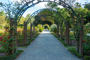 ニュージーランドのクライストチャーチの観光名所を旅行している風景 Scenes from a trip to the sights of Christchurch, New Zealand.