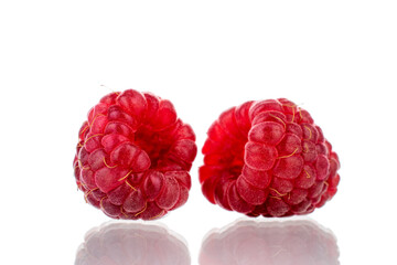 Two berries of ripe red raspberries, close-up, isolated on white.