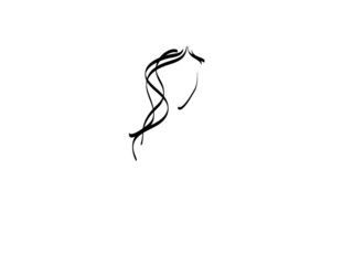 Fototapeta premium silhouette of hair
