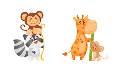 Obraz na płótnie Canvas Adorable animals measuring height set. Cute monkey, raccoon, giraffe, mouseanimals comparing height cartoon vector illustration