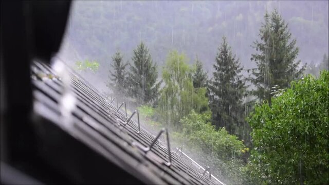 Regentag, Regen prasselt aufs Dach mit Schneenasen, Laubb&auml;umen, Nadelb&auml;umen