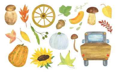 Autumn watercolor seasonal elements set for fall holiday celebration decor pumpkins, mushrooms, leaves, rowan, truck, cart wheel, chanterelle, sunflower healthy organic items for cards, poster, banner