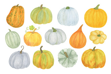 Pumpkins collection hand drawn watercolor elements for seasonal autumn holidays celebration design, healthy vegetarian diet, thanksgiving, halloween clipart set
