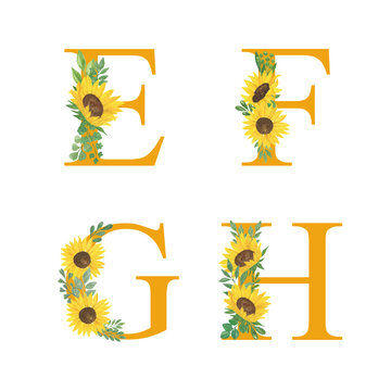 ABC, Letters of alphabet decorated with sunflowers and leaves, floral monogram watercolor illustration in simple hand painted style, summer flowers decorative lettering