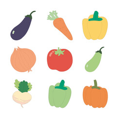 Set vegetables: onion, radish, tomato, pumpkin, carrot, pepper, eggplant on white isolared background.