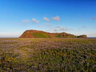 Iceland