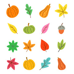 Vector illustration autumn vegetables and leaves on white isolated background.