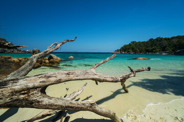 ocean waves, Beautiful tropical beach and rocky coastline and beautiful forest. Nga Khin Nyo Gyee Island Myanmar. Tropical seas and islands in southern Myanmar