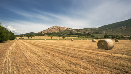 Panorama of the beautiful town of Trevi, Umbria - obrazy, fototapety, plakaty