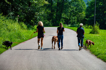 Unterwegs mit Hunden