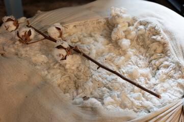 Detail of a cotton sack with a branch on top
