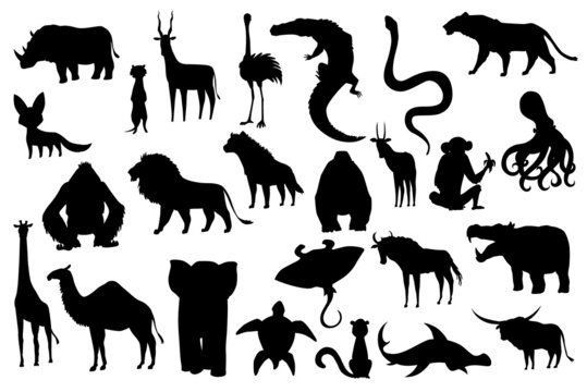 Collection of cute vector animals. Hand drawn silhouette animals which are common in Africa. Icon set isolated on a white background