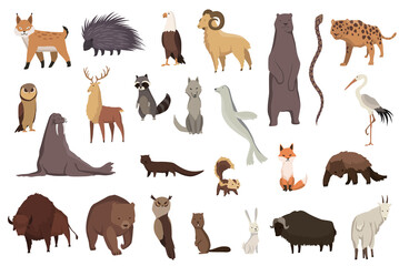 Animals of north america. Nature fauna collection. Geographical local fauna. Mammals living on continent. Vector illustration in kids style