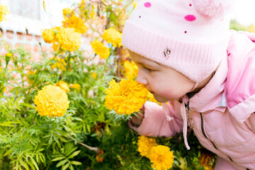 child sniffs yellow flowers. scent of flowers