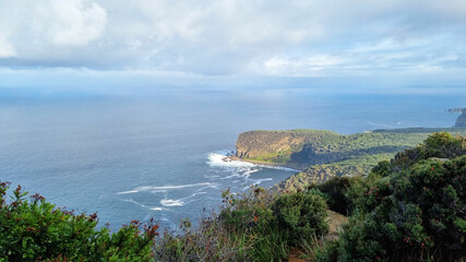 Fototapeta na wymiar Looking Over the Coastline at Cape Raoul Through Trees. Tasman Peninsula Tasmania Australia