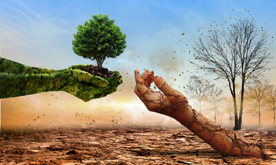 Green hands holding tree growing and dry soil hand on crack earth. 