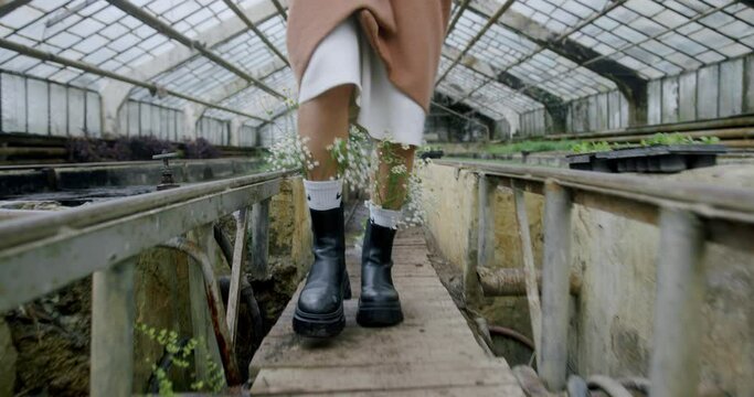 Woman legs in boots with flowers in socks walks in greenhouse. 