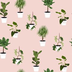 Different green plants, palms tree in pots seamles pattern for inside and outside. Pink background.