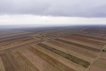 Aerial view of agricultural fields