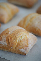 Fresh ciabatta bread rolls after baking