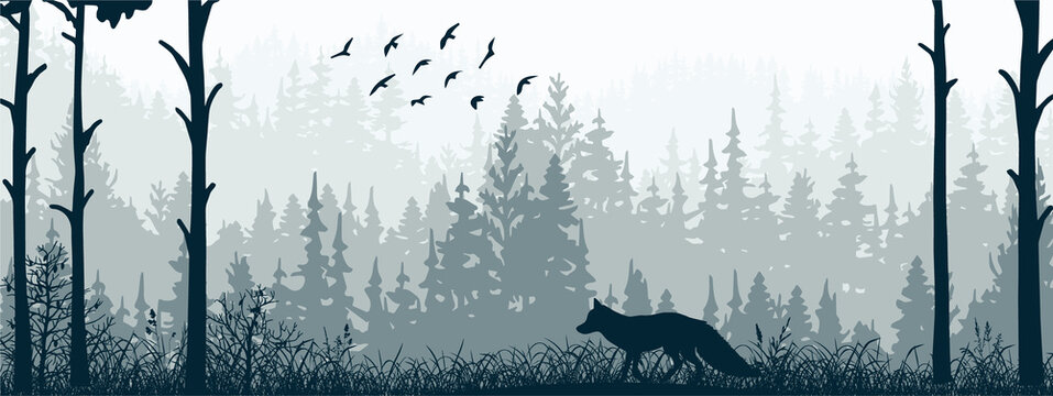 Horizontal banner. Silhouette of fox standing on meadow in forrest. Silhouette of animal, trees, grass. Magical misty landscape, fog. Blue and gray illustration. Bookmark.