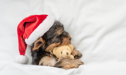 Funny Yorkshire terrier puppy wearing red santa hat sleeps and hugs toy bear under white blanket at...