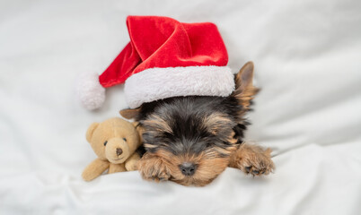 Funny Yorkshire terrier puppy wearing red santa hat sleeps with toy bear under white blanket at home. Top down view