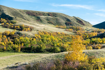 Fall colours in rural Saskatchewan, Canada