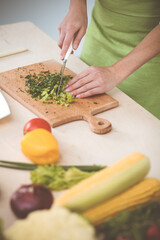 Unknown young woman slicing greens for a delicious fresh vegetarian salad while standing at the kitchen desk, just hands, close-up. Cooking concept