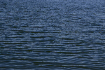 Light waves on the surface of the water