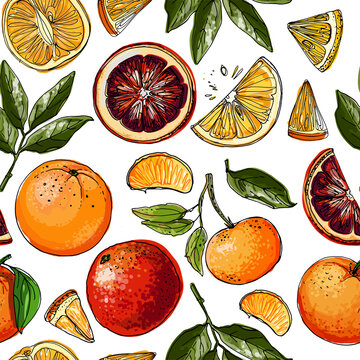 Pattern with citrus fruits orange. Vector food sketch. Exotic food drawings