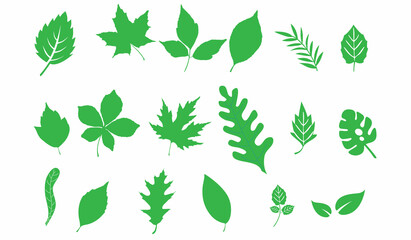 Leaf icons set ecology nature element, green leafs, environment and nature eco sign. Leaves on white background – vector