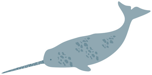 Large predatory marine mammal, whale with long horn. Predatory animal living in ocean. Narwhal whale isolated on white background. Narwhal, unicorn-fish, dangerous ocean mammal vector illustration © robu_s