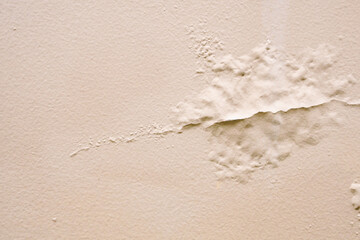 Brown wall damp damaged with peeling paint