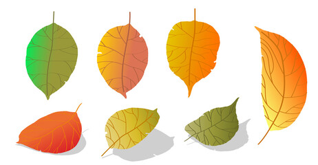 Obraz premium doodle gradient apple tree leaves isolated on white background. Autumn fallen leaves of apple tree. Harvesting. Vector