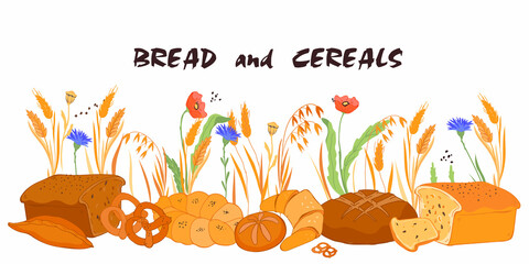 Hand drawn bread and cereals background. Bakery production against backdrop with natural wheat and oat cereals ears and field flowers, flat vector isolated on white.