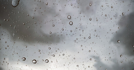 rain drops on the window