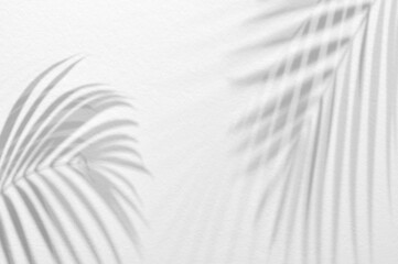 Light and shadow leaves,palm leaf on grunge white wall concrete background.Silhouette abstract tropical leaf natural pattern for wallpaper,spring ,summer texture.Black and white blurred image backdrop - 451182251