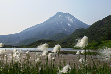 View of Viluchinskiy volcano in summer. Kamchatka