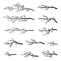 Collection of tree twigs and branches.