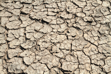 Dry earth covered with deep cracks